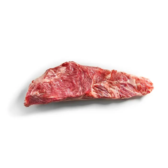 PLUMA IBÉRICA